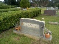 Davis marker