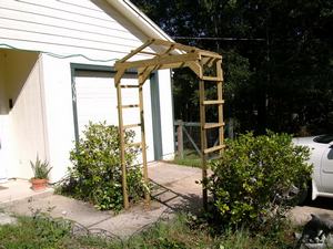 new trellis